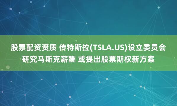 股票配资资质 传特斯拉(TSLA.US)设立委员会研究马斯克薪酬 或提出股票期权新方案