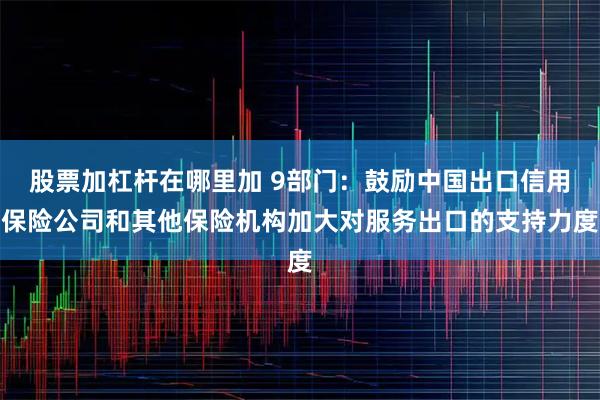股票加杠杆在哪里加 9部门：鼓励中国出口信用保险公司和其他保险机构加大对服务出口的支持力度